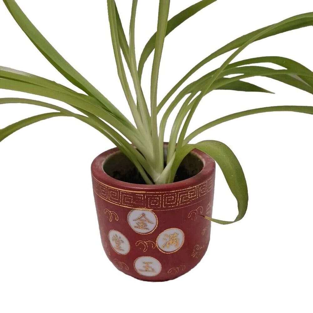 VNT Chinese Republic Ceramic Red Orange GOLD Flower Pot CHINA with SPIDER PLANT!
